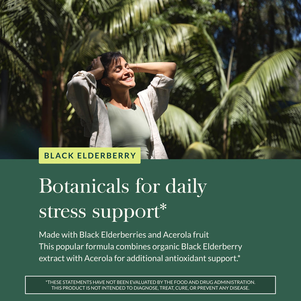 Plant-based ingredients graphic for Gaia Herbs elderberry formula