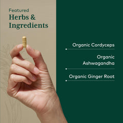 GAIA Herbs PRO Adaptogen Performance daily use scene showing easy routine integration.