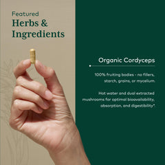 Gaia Herbs Pro Cordyceps dried mushroom pieces for quality ingredients