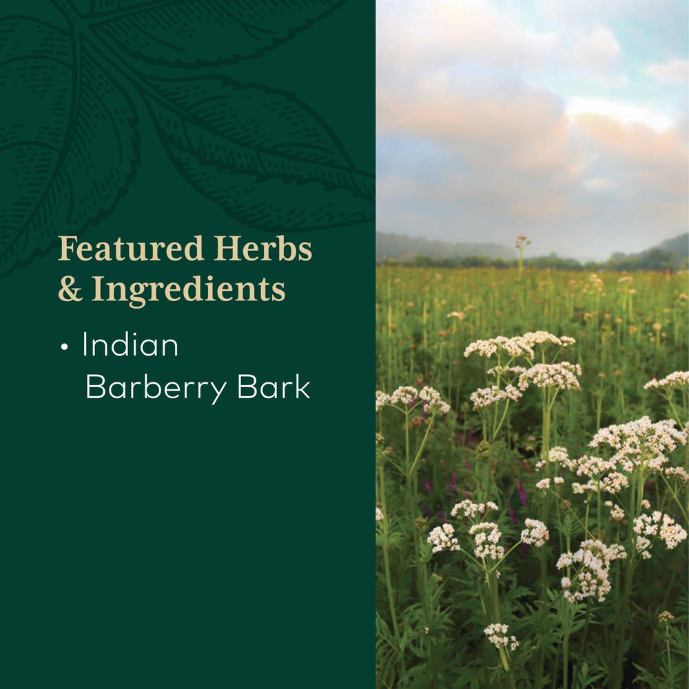 Gaia Herbs PRO regenerative organic farm in North Carolina illustrating sustainable sourcing.