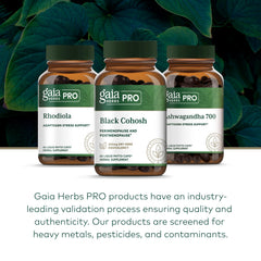 GAIA HERBS PRO root extract illustration signals potency and tradition.