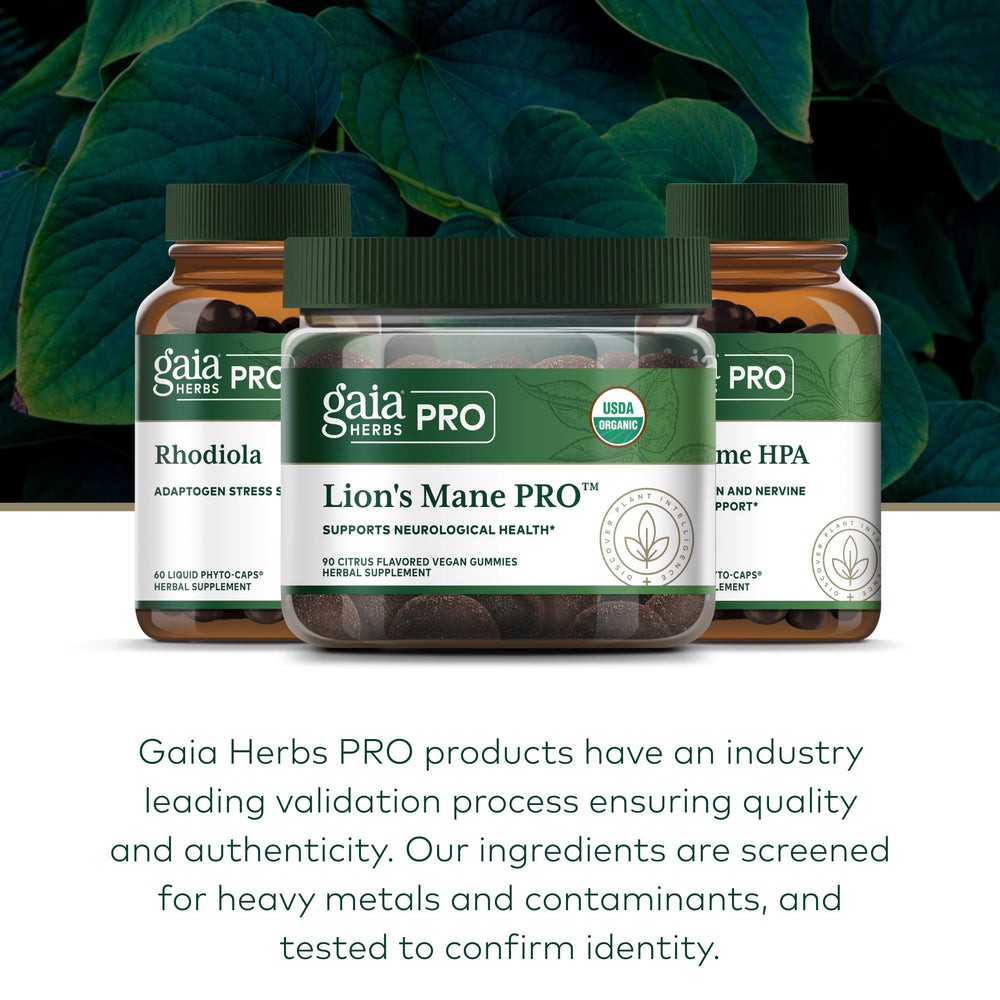 Serving spoon with Gaia Herbs Pro Lions Mane Gummies for daily use.