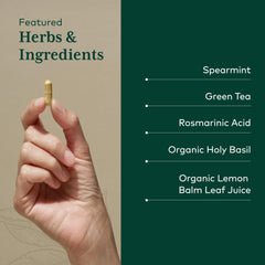 Gaia Herbs PRO Somni-Mint Rosmarinic Complex lemon balm component close-up