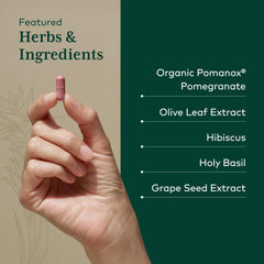Gaia Herbs PRO Systolic Complex grape seed capsules promote vascular support.