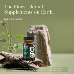Gaia Herbs Quick Defense bottle side detail highlighting serving size