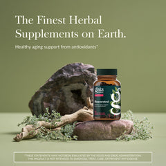 Gaia Herbs Resveratrol label close-up highlighting 150 mg trans-resveratrol.