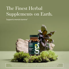 Gaia Herbs Rhodiola Rosea capsules in a row highlight convenient vegan phyto-caps