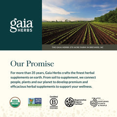 Gaia SleepThru jujube date close-up for gentle sleep support.
