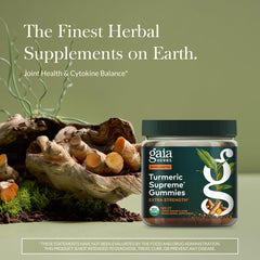 Gaia Herbs Turmeric Supreme gummies close up showing chewy texture