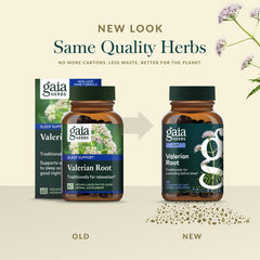 Gaia Herbs Valerian Root capsules close-up emphasizing valeric acids