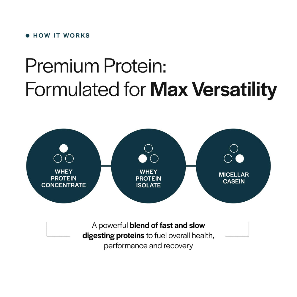Gainful Everyday Whey shaker bottle enables on the go protein boosts