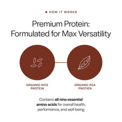 Gainful Protein Powder Tub highlighting a smooth plant-based formula for digestion