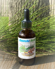 Ganesha Herbs SURAMAX detox pathways from herbal blend illustration.