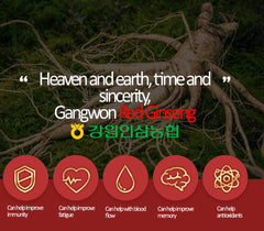 Gangwoninsam back panel emphasizes no additives and 100% pure concentrate claim.