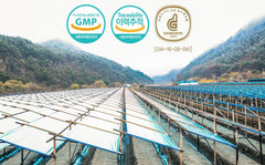 Gangwoninsam new package design front highlighting modern packaging for easy recognition.