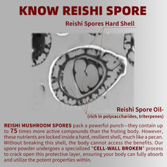 GANOHERB Reishi capsules being poured for daily use and support.
