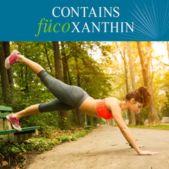 Garden of Life fucoThin ingredient blend featuring fucoxanthin and pomegranate oil.