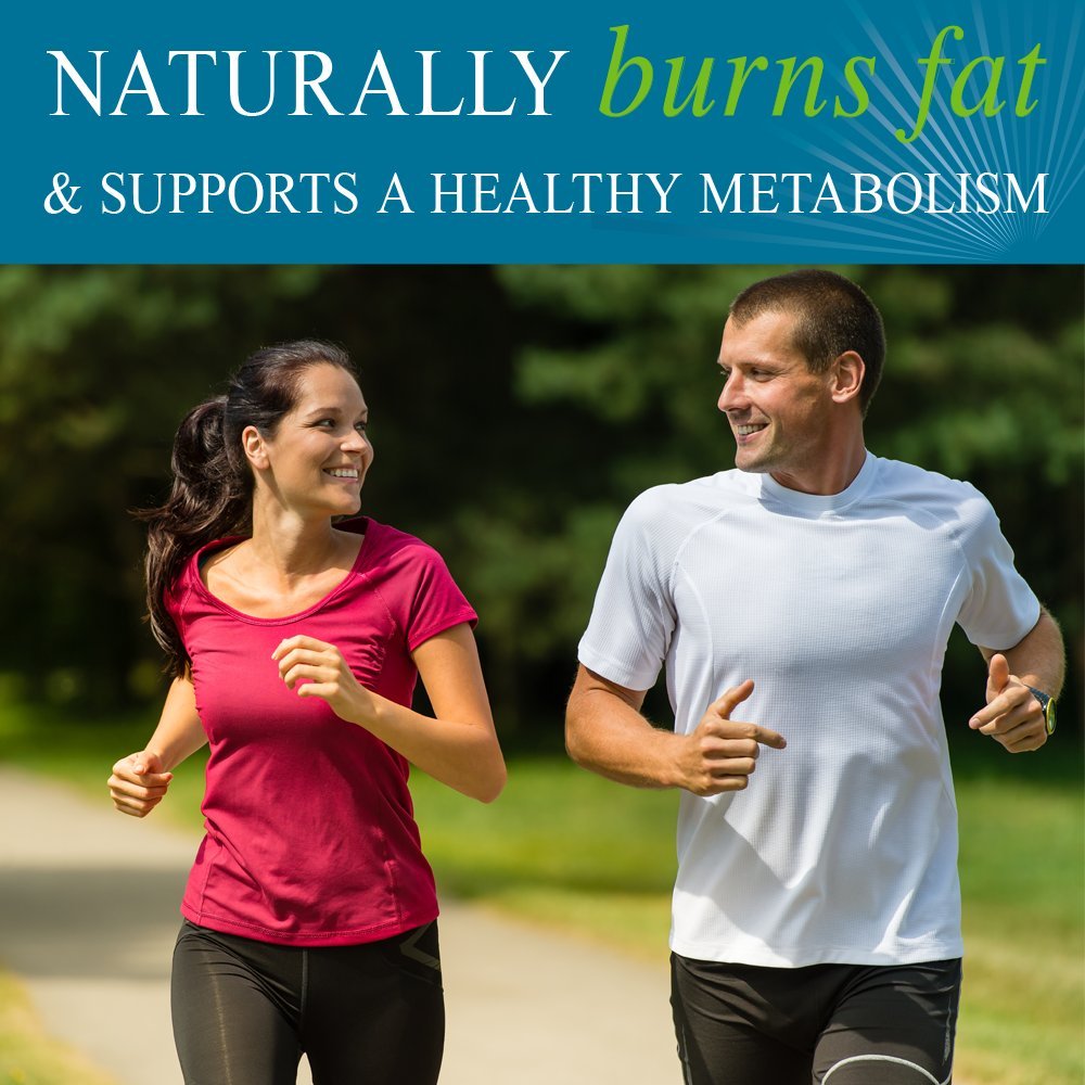 Garden of Life fucoThin softgels close-up—non-stimulant fat burner option for women.