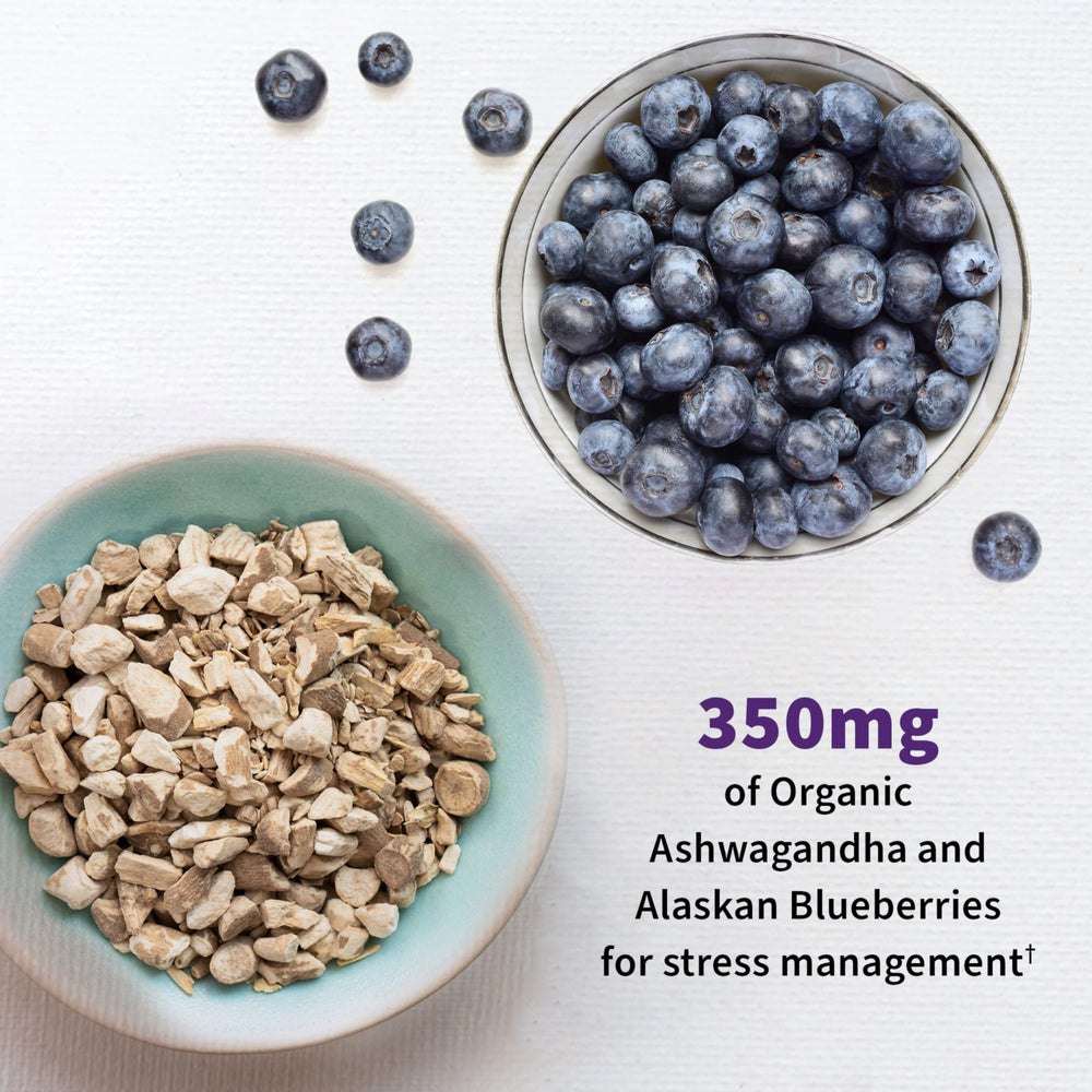 Mood+ blend with Ashwagandha and blueberries for relaxation support.