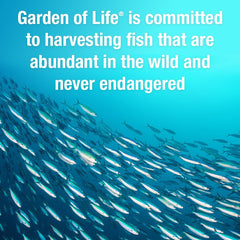 Garden of Life Oceans 3 is designed for daily use with meals.