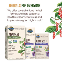 Garden of Life Organics B vitamins tablets close-up highlighting whole-food sourced nutrients.