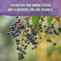 Garden of Life Organics Elderberry Zinc Immune Syrup kids formula on packaging