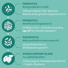 Garden of Life prebiotic and postbiotic blend diagram.