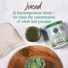 Garden of Life Raw Green Powder Chocolate label close-up showing organic ingredients
