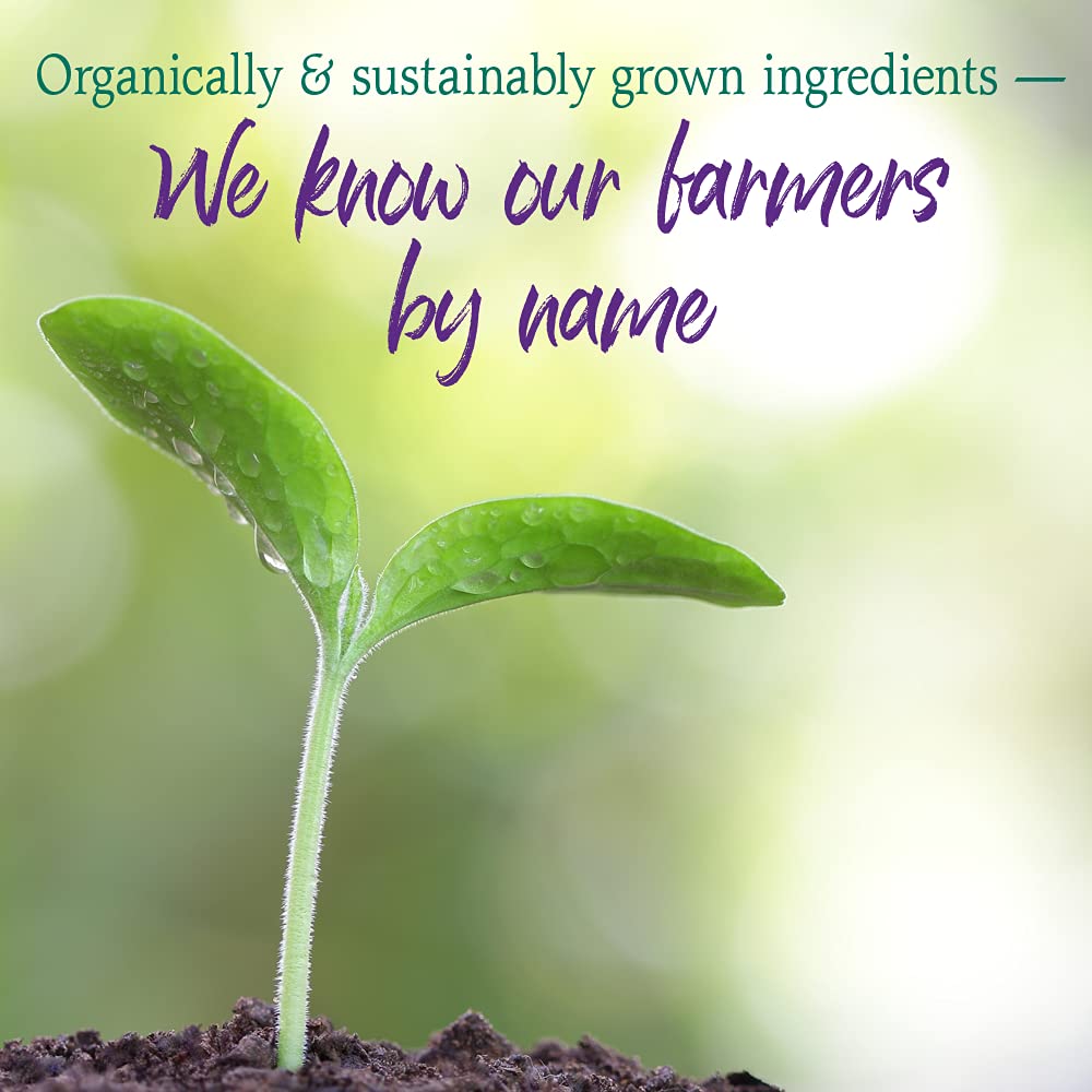 Garden of Life Raw Organic Perfect Food USDA Organic seal close-up.