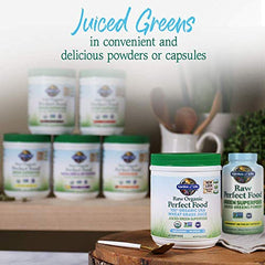 Daily smoothie idea with Garden of Life Raw Organic Perfect Food greens