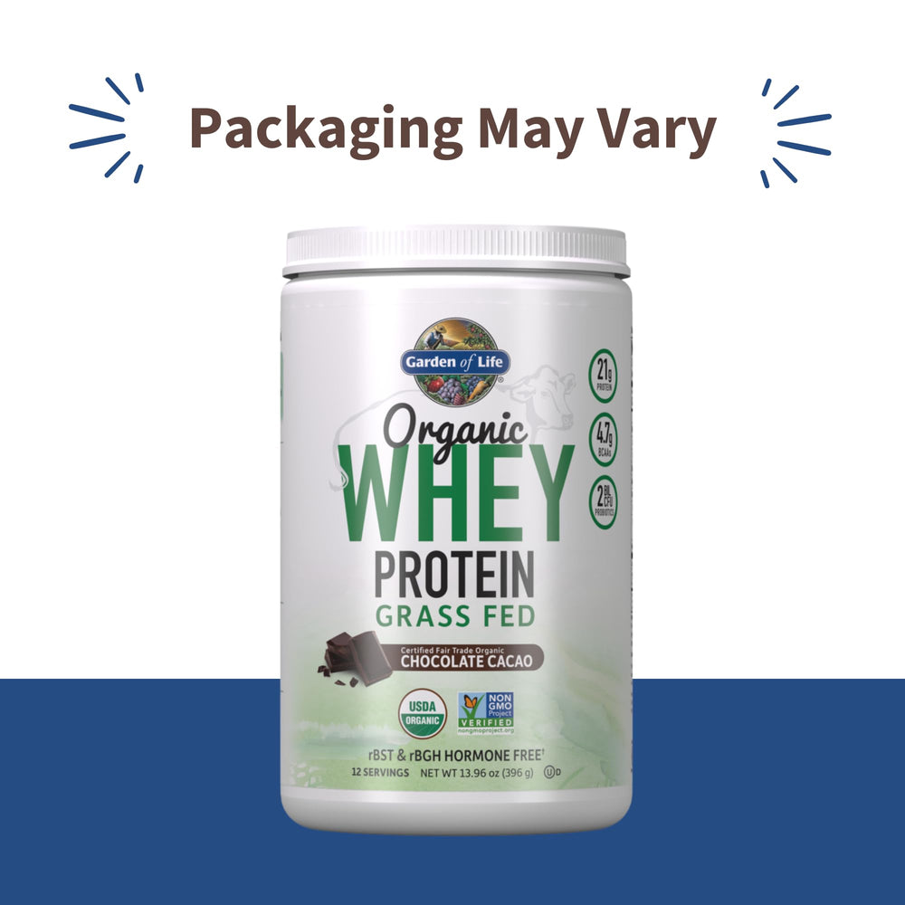 Garden of Life whey protein powder chocolate cacao scoop illustrates quick mix for smoothies.