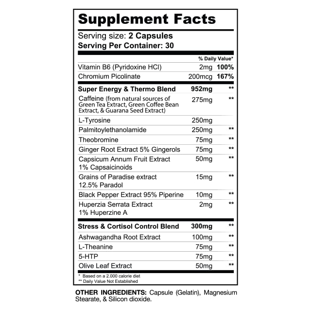 Gaspari DTN8 mental focus capsules ready for daily training.