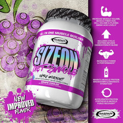 Gaspari SizeOn ingredients graphic highlighting amino acids and creatine