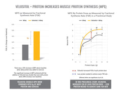 Genetic Edge Compounds GEC Muscle Potion shaker with drink for easy mixing