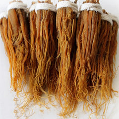 Generic Red Ginseng roots in jar ready for daily use.