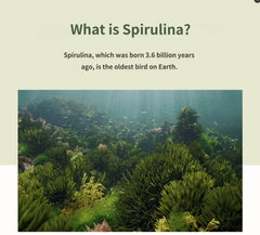 Generic Spirulina bottle in a wellness setup for daily routine.