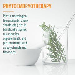 Acn-gen embryotherapy tissues illustration explains plant buds and meristem concepts.