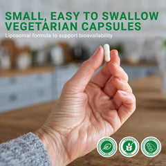 GenuinePurity Longevity+ CoQ10 capsule emphasizes antioxidant and energy‑support potential.