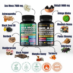 GiDaCulture Ashwagandha blend ingredients visual highlights versatility for daily balance.