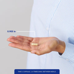 Close-up of ingredient panel signals digestive enzyme support and purity.