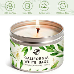 Gisly Sage Candle smokeless burn in a cozy living room.