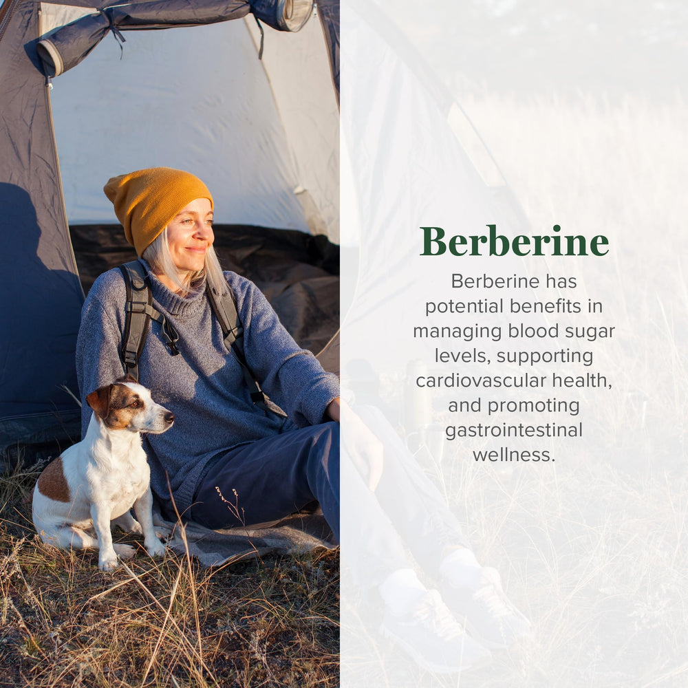 Global Healing Center berberine capsules label highlighting cinnamon and black pepper.