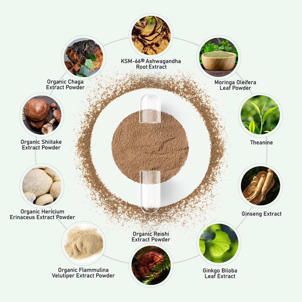 GlowEver Reishi Shiitake Lions Mane Chaga blend for antioxidant support.