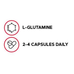 GNC Pro Performance L-Glutamine capsules ready for daily training support.