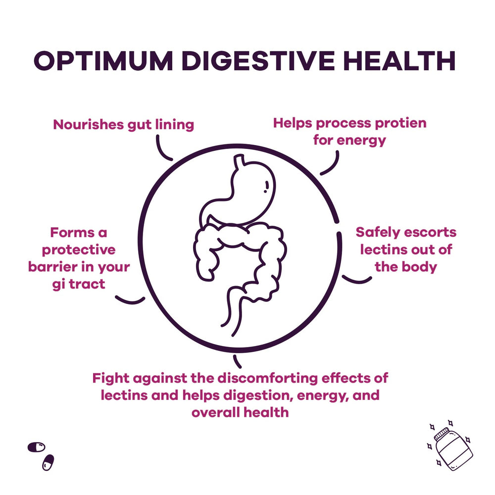 GOBIOTIX Lectin Defense ingredients list—N-Acetyl D-Glucosamine and MSM features.