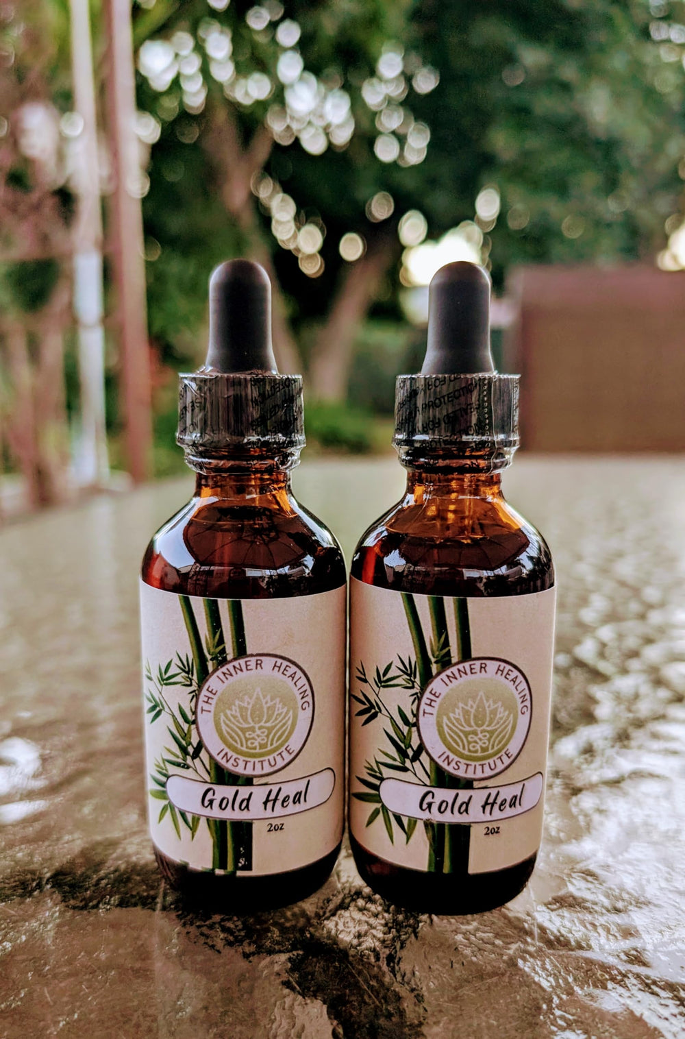 Gold Heal tincture 2oz bottle close-up highlighting herbal formulation for broad support.