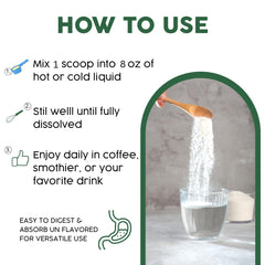 Graphic of plus seventeen superfood ingredients included with Gold Vital Life