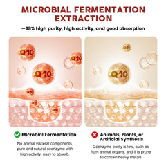GONGOTA grape seed extract capsule close-up, antioxidant-rich ingredient