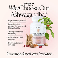 Night-time routine with Goodness Lover Ashwagandha for calmer evenings