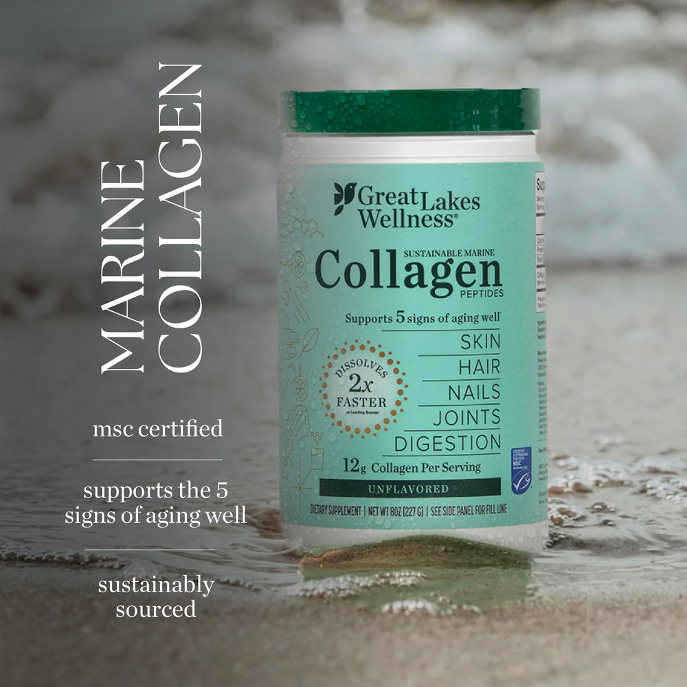 Great Lakes Wellness joint support and gut health potential with marine collagen.